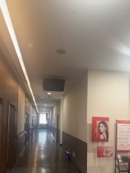 -上海玫瑰医疗美容医院