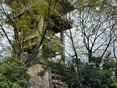 -张坝桂圆林公园