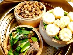 -易门野生菌府·菌海森林(月牙潭公园店)