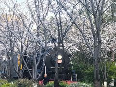 -新天地活力PARK