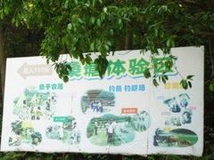 -李小龙乐园(顺德均安店)