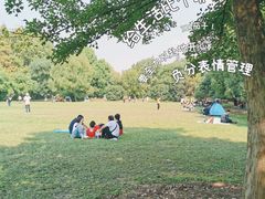 -东湖落雁景区