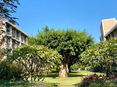 -厦门国家会计学院