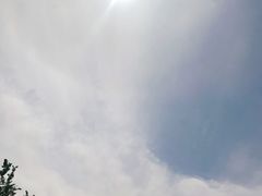 -塘沽森林公园