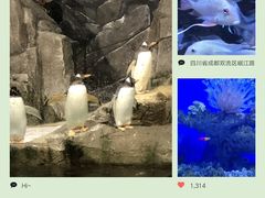 -成都浩海立方海洋公园