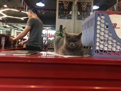 -KingBull私教健身&格斗订制(龙井商业中心店)