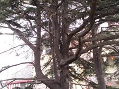 -青岛德国总督楼旧址博物馆