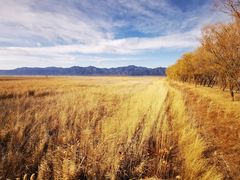-野鸭湖国家湿地公园