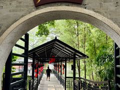 -侨美·唐荔园·40年地道粤菜