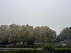 -丰台花园