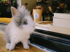 -小意思咖啡店(草桥店)