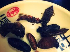 -昆虫窝子·特色云南菜(拓东路总店)