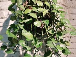 -MAGSTUDIO美格造型