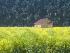 -天津武清北运河郊野公园房车露营地