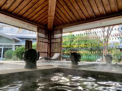 -中家鑫园温泉酒店鑫悦汤泉