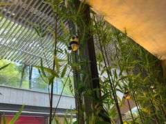 -蓉城小馆(科兴店)