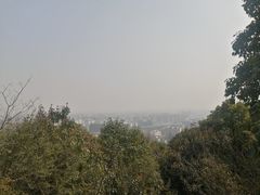 -杭州半山国家森林公园