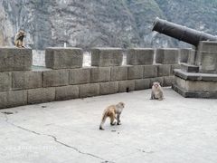 -白帝城·瞿塘峡景区