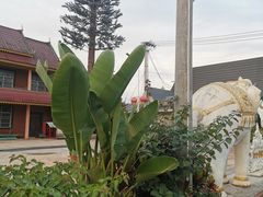 -西双版纳傣族园