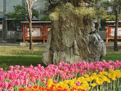 -中国石油大学（北京）(西校区)