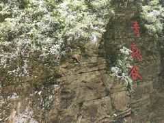 -阿依河景区