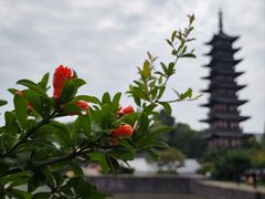 -上海方塔园
