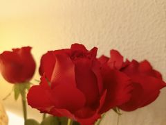 -三色堇(小通巷店)