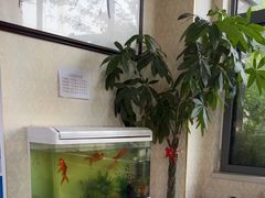 -鸿福推拿养生馆(砬子山店)
