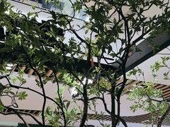 -大神太神·铁板烧(七宝领展广场店)