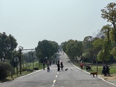 -南京市江宁方山