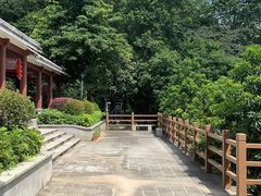 -广州市帽峰山景区