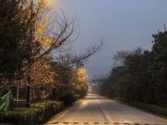 -雨花胜境