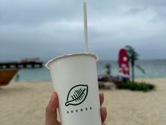 -三亚蜈支洲岛旅游区