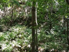 -大岭沟猕猴桃谷风景区