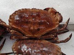 -丰卓会海鲜自助(中润大道店)