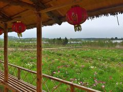 iphone_upload_pic-北纬44度·金珠花海休闲农业旅游景区