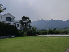 -龙坞茶村
