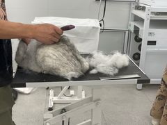 -comecome来吧宠物(奥克斯中心店)