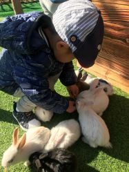 -萌宠亲子动物乐园(槐房万达店)