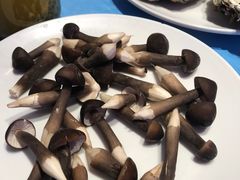 黑鸡枞菌-千岛蚝高压锅生蚝·人参火锅(白云万达店)