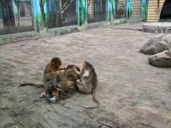 -西安秦岭野生动物园