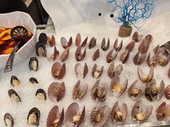 -安阳迎宾馆-普利亚西餐厅