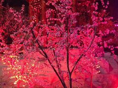 -宝泉胜境旅游度假区