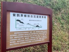 -紫鹊界梯田景区