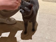 -扬州东关街文昌阁桔子水晶酒店