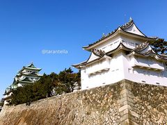-名古屋城