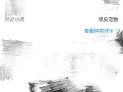 -顽皮家族宠物医院(浦东北园路分院)
