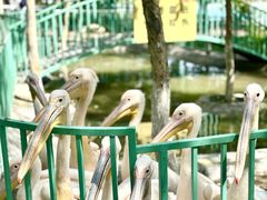 -水上乐园·欢乐世界