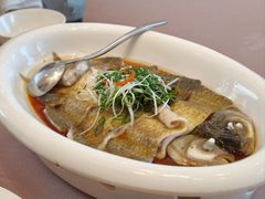 -顺味凤城·顺德菜专门店(九六广场店)