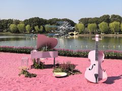 -上海鲜花港